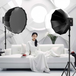 ویدیولایت آراروکس مدل G230W